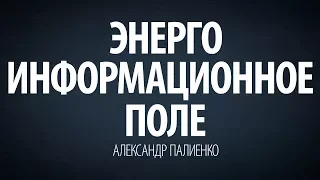 Энергоинформационное поле. Александр Палиенко.