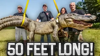 Biggest GATOR Catches On Swamp People!