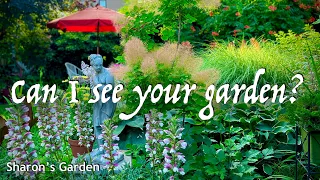 Unwind in this Elegant Small Space Garden | Visiting Sharon's Garden