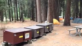 Yosemite Camp 4 REVEALED!
