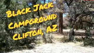 BlackJack Campground, Clifton, AZ