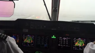 Go Around (Cockpit) ! CatIII Mins 100FT ~  JFK 4L~ Aer Lingus NOT off Runway!