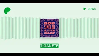 Bob Sinclar & Sofiya Nzau - Digane (Extended Mix)