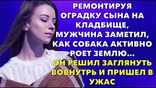 📗Жизненные истории 📕Ремонтируя оградку своего сына, мужчина заметил, как собака...📘Истории из жизни