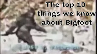 The Top 10 things we know about Bigfoot