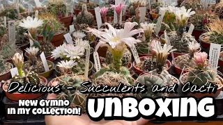 Cactus and Succulent Unboxing | flowers of the day | offsets update