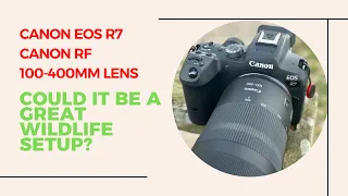 Is the Canon R7 & RF 100-400mm Lens The Perfect Wildlife Setup?