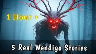 5 True Wendigo Encounter Horror Stories 1 Hour +