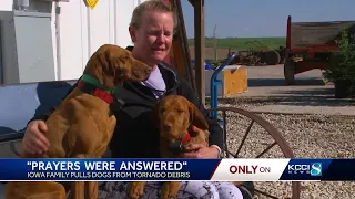 'Prayers were answered': Family pulls dogs out from under tornado wreckage