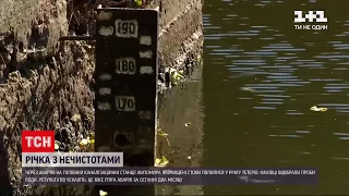 Новини України: екологи радять не використовувати воду з забрудненої річки Тетерів
