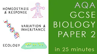 All of AQA BIOLOGY Paper 2 in 25 minutes - GCSE Science Revision