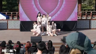 191110 해시태그 ( 트와이스 - Yes or Yes) 도시꼬마축제 4K 직캠 Fancam