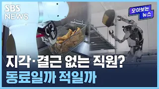 "1시간에 300인분 조리"…외식업계에서 두팔 벌려 반기는 이유 / SBS / 모아보는 뉴스