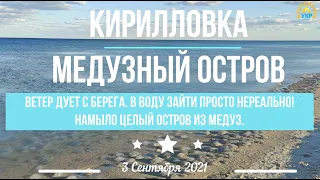 КИРИЛЛОВКА. Федотова Коса. Намыло целый остров из медуз. В море войти нереально. 3 Сентября 2021.