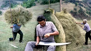 Drying grass to feed livestock in winter. Manual cutting and its curious storage