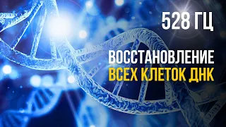 528HZ Оздоровительная программа на уровне  ДНК.