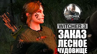 ЗАКАЗ ЛЕСНОЕ ЧУДОВИЩЕ Ведьмак 3 #13