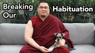 Breaking Our Habituation (with subtitles)