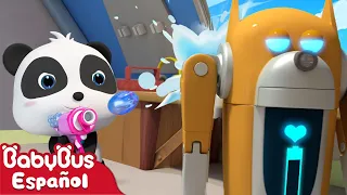 Panda Kiki v.s. Perro Robot | Dibujos Animados | Kiki y Sus Amigos | BabyBus Español