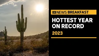Scientists find 2023 was the hottest year on record | ABC News