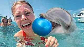 Дельфины тоже умеют веселиться. Люди в шоке как киты и дельфины катаются на волнах и пускают пузыри