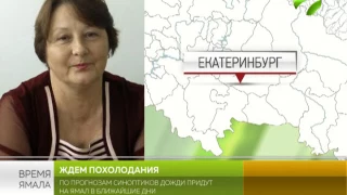 По прогнозам синоптиков дожди придут на Ямал в ближайшие дни