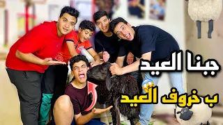 جبنا العيد بخروف العيد 😱😂 الحسين اترعب منه 🤣 واشتغل شيف 😂