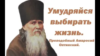 Отношения с ближними. Преподобный Амвросий Оптинский.