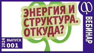 ЭНЕРГИЯ и СТРУКТУРА. Питание, источники. Запас прочности. Микробиота. Соль. Заглушки. Вебинар 24-01