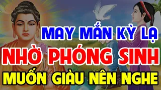 3 Chuyện Nhân Quả Phật Giáo, MAY MẮN Kỳ Lạ Nhờ PHÓNG SINH, Muốn ĐỔI ĐỜI GIẦU SANG Nên Nghe Dù 1 Lần