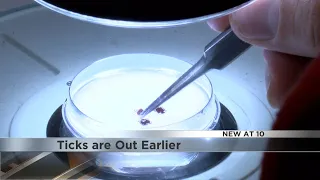 'Focus on personal protection': Ticks came out early this year, keep yourself safe this summer