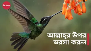 আল্লাহ্‌র উপর ভরসা করুন | দুশ্চিন্তা ও ঋণ থেকে মুক্তি - শায়খ মুখতার আশ-শানক্বিতি