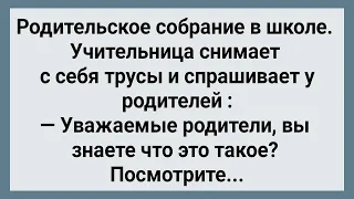 На Родительском Собрании Учительница Сняла Трусы и Показала! Сборник Свежих Анекдотов! Юмор!