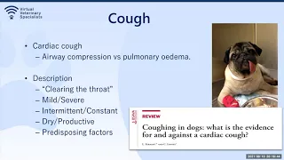 VVS Cardiology Webinar - 'Physical exam... is it cardiac?' with Dr Brigite Pedro