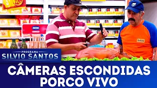 Porco Vivo | Câmeras Escondidas (02/12/18)