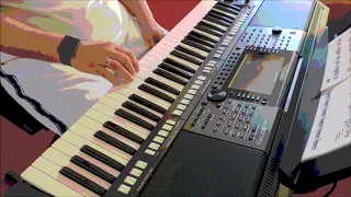 Brother Louie - Modern Talking - Cover by Donkey - Yamaha PSR S770