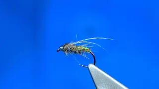 Tying One of my Top Caddis Pupa Flies by Davie McPhail