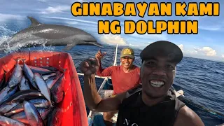 GINABAYAN KAMI NG MGA DOLPHIN