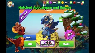 Hatched Apocalypse and Spruce dragons-Dragon Mania legends | Got Cinnamon Dragon | DML