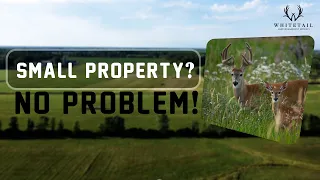 How to Kill BIG BUCKS on SMALL PROPERTIES CONSISTENTLY!