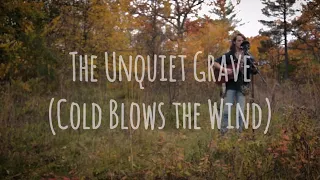 The Unquiet Grave / Cold Blows The Wind (Lyrics) - Live in High Park