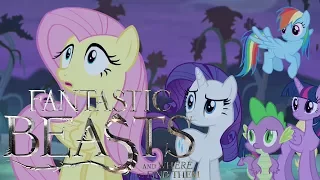 Fantastic Beasts and Where To Find Them. Trailer. PMV