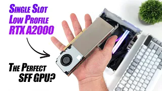 Single Slot Low Profile RTX A2000! The Perfect Small Foot Print GPU