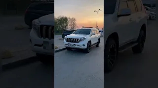 Работать надо головой 🤑 #shorts #приколы #toyota #prado