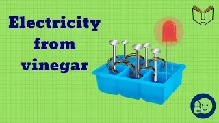 how to generate electricity form vinegar || Electrochemical experiments 🚥