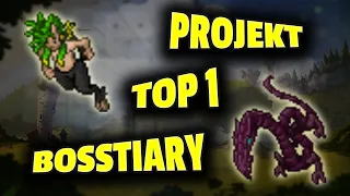 Tibia - Projekt TOP 1 w Bosstiary - Podsumowanie #5