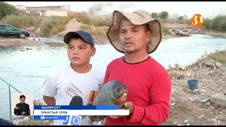 Рыбу с человеческими зубами поймали в Шымкенте