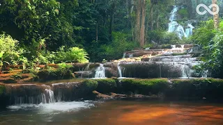 Flying: Sleep Music In A Gorgeous Nature Paradise