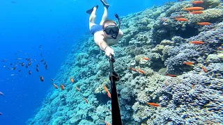 Снорклинг в Дахабе. Голубая дыра. Шарм-Эль-Шейх  Египет  [ Dahab  blue hole ]