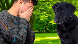 He Adopted A Sad Dog Without Knowing Who His Owner Was But When He Found Out, He Cried and Did This!